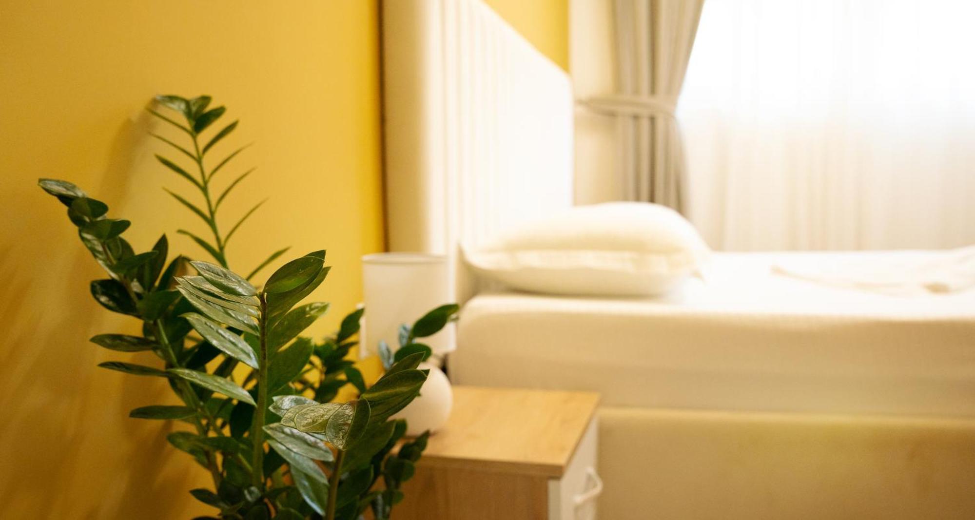 Hotel Luris Golem  Luaran gambar