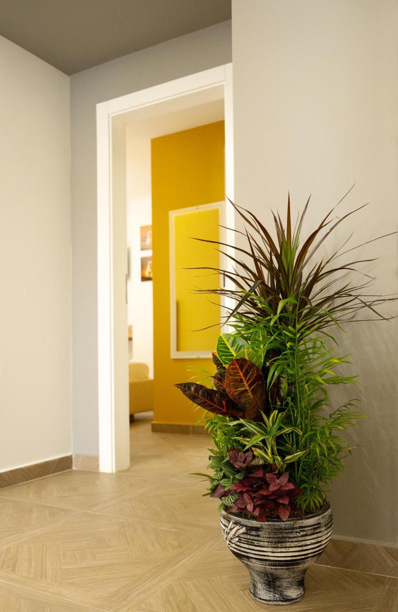 Hotel Luris Golem  Luaran gambar